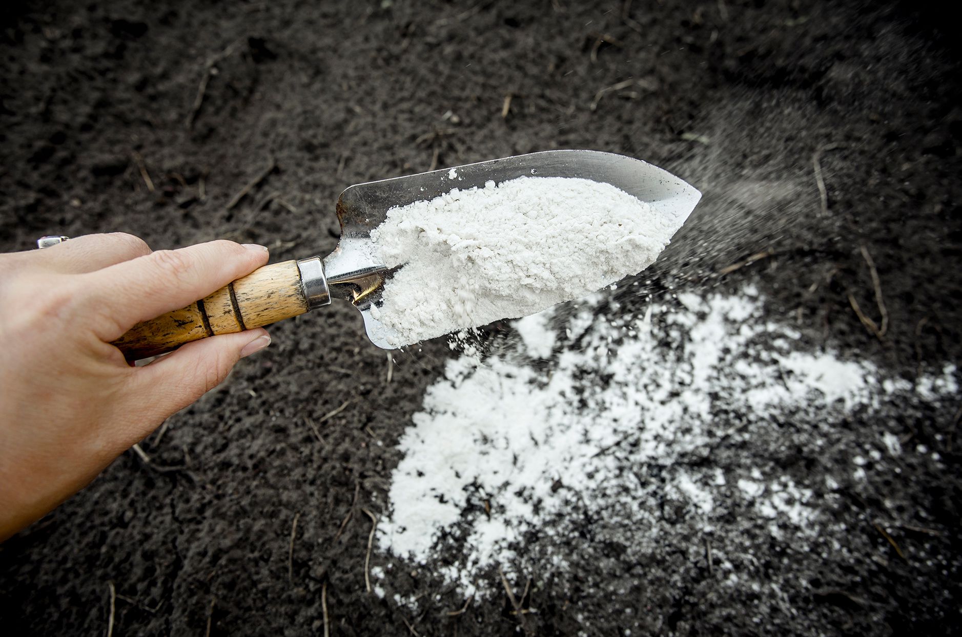 Agricultural Lime For Neutralise Acidic Soil - Dev Tandoor Industries
